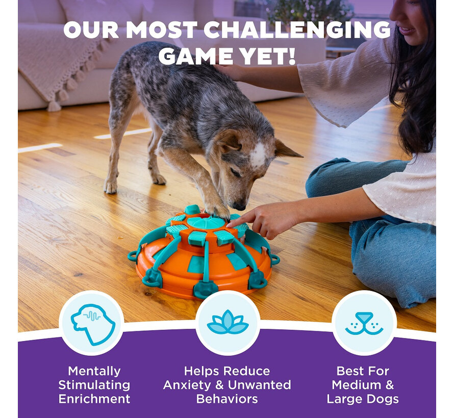 Dog Puzzle Tower of Treats (level 4)