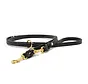Dog Leash Classic Premium Black Gold