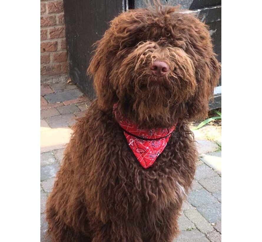 Koelbandana Hond Red Western