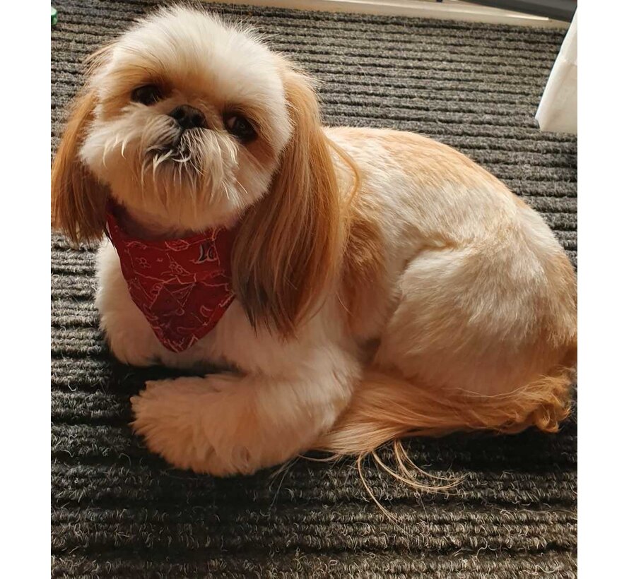 Cooling Pet Bandana Red Western