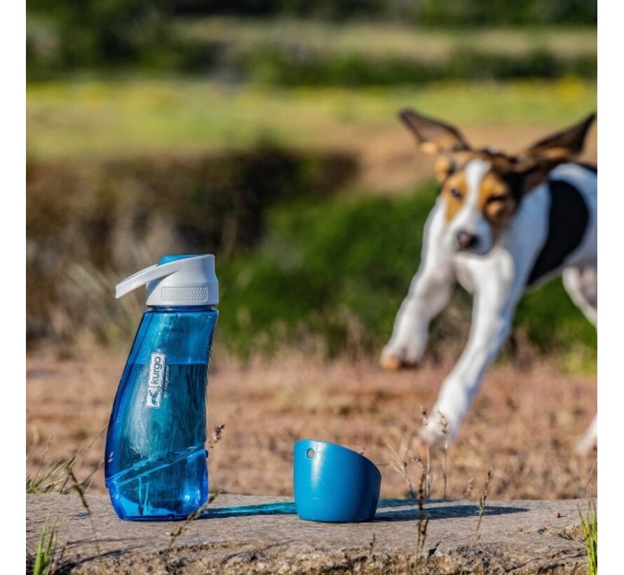 Water Bottle Gourd Blue