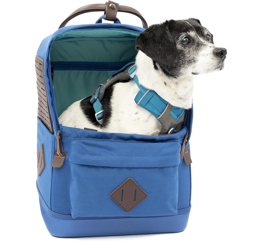 Hondendraagtas Rugzak Nomad Blauw