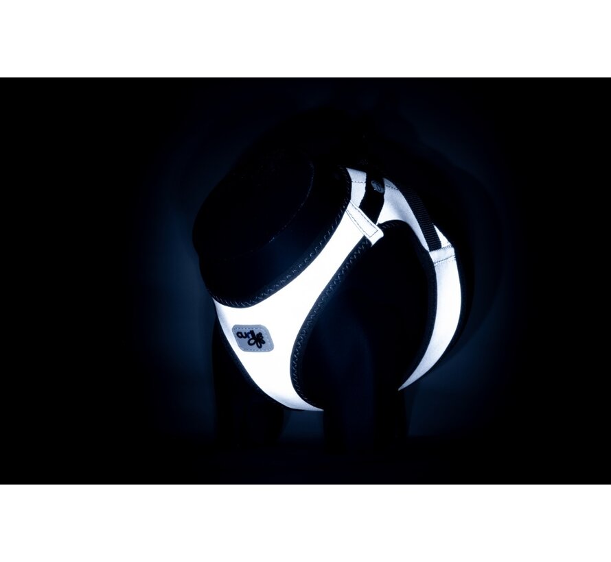 Clasp Glow Vest Harness Reflective Grey