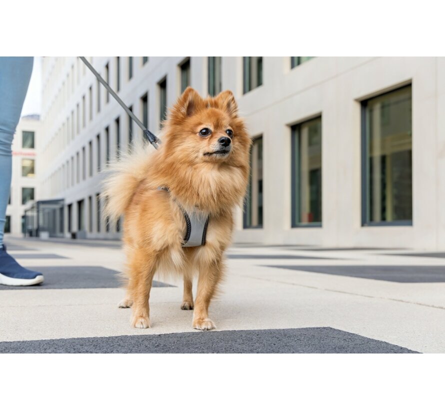 Hondentuig Glow Vest Harnas Reflecterend Grijs