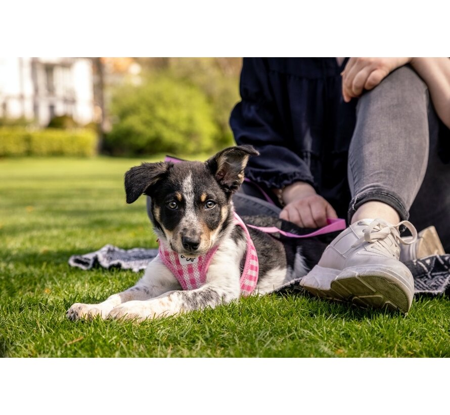 PuppyTuig Clasp Vest Harness Roze Set
