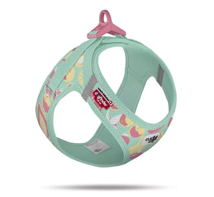 Hondentuig Clasp Vest Harness Juicy Fruits Turquoise LE26