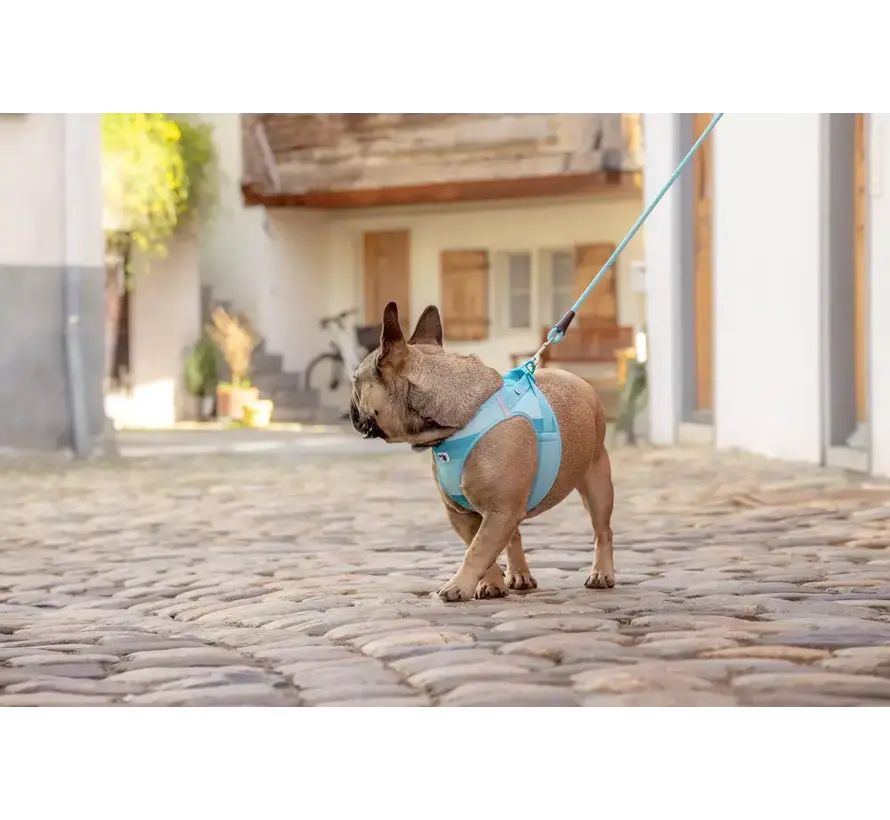 Hondentuig Clasp Vest Harness Aqua SE22