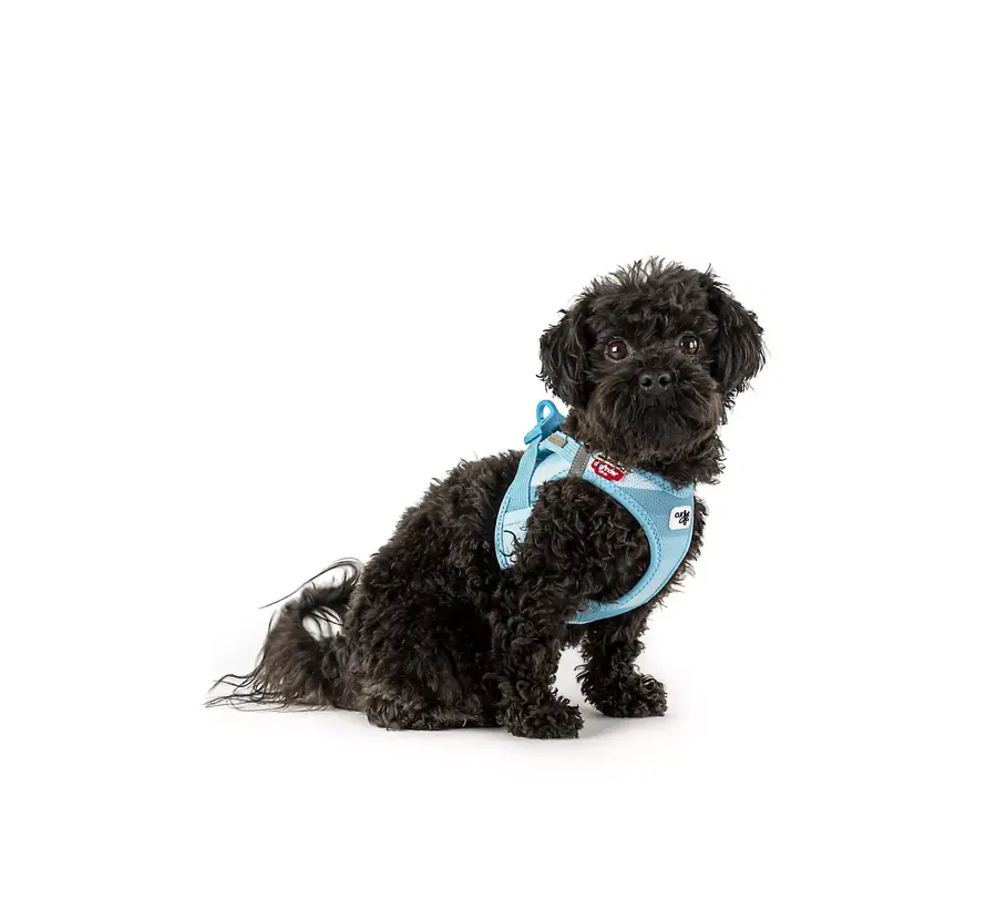 Hondentuig Clasp Vest Harness Aqua SE22