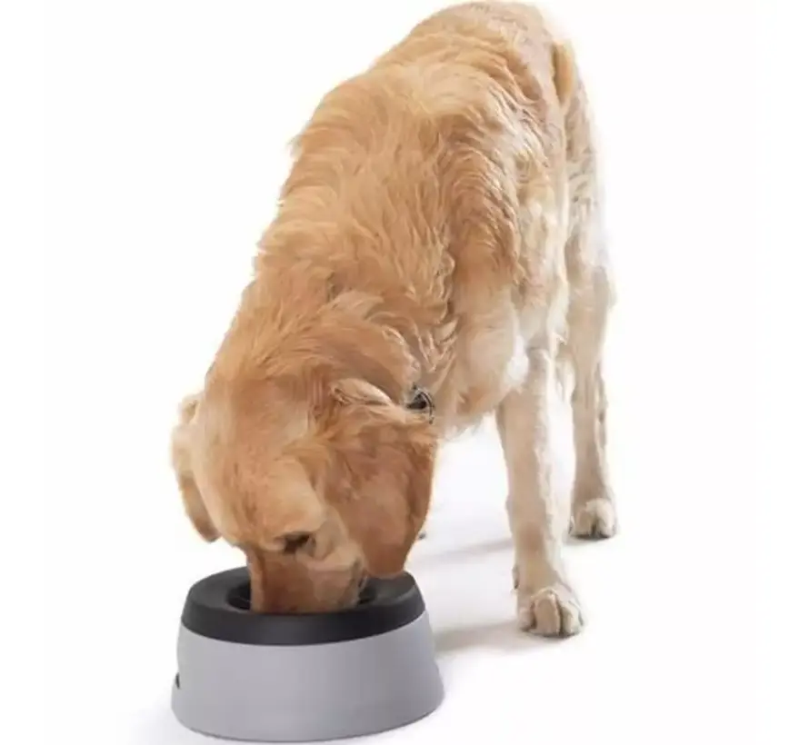 Bowl Road Refresher Grey