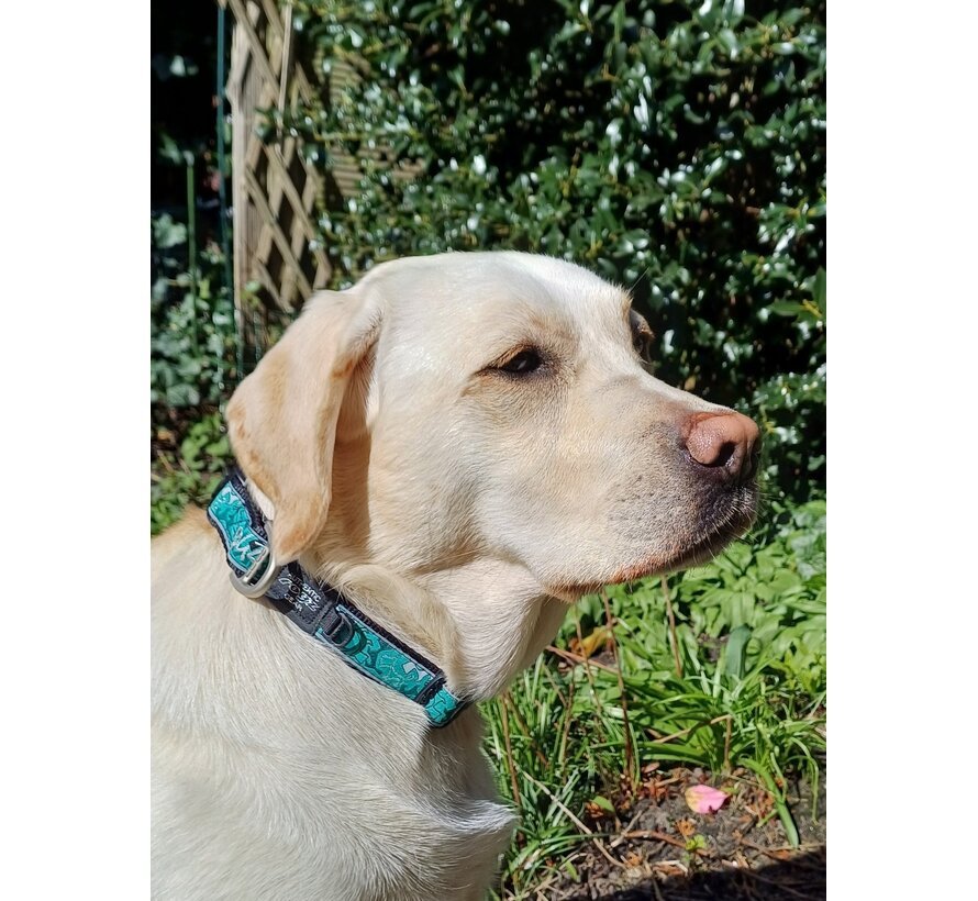 Hondenhalsband Fancy Dress Mint Dog