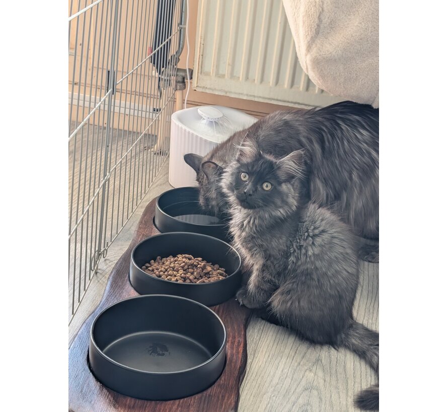 Ceramic Bowl Dusk Black