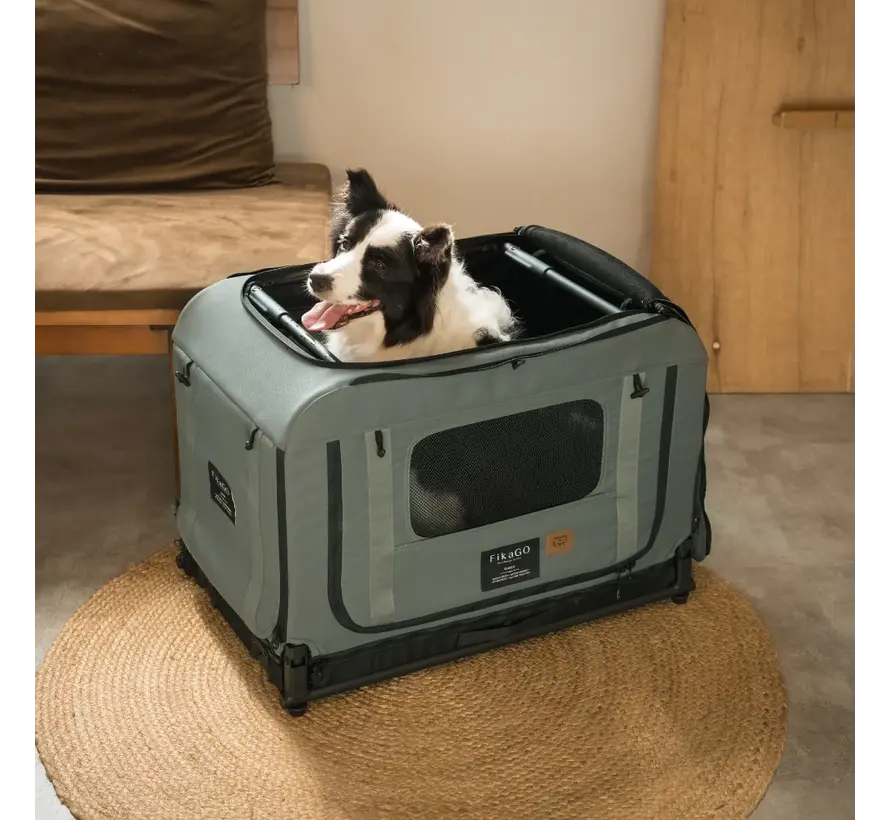 Foldable Travel Crate Queen Green