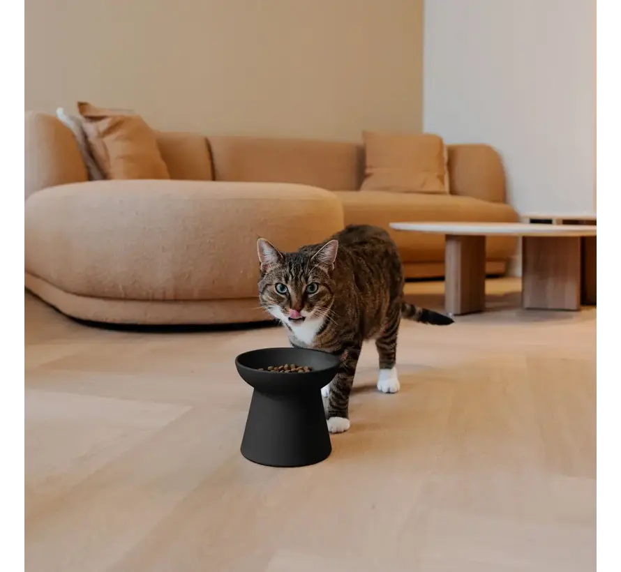 Ceramic Raised Cat Food Bowl Wabi Sabi Black