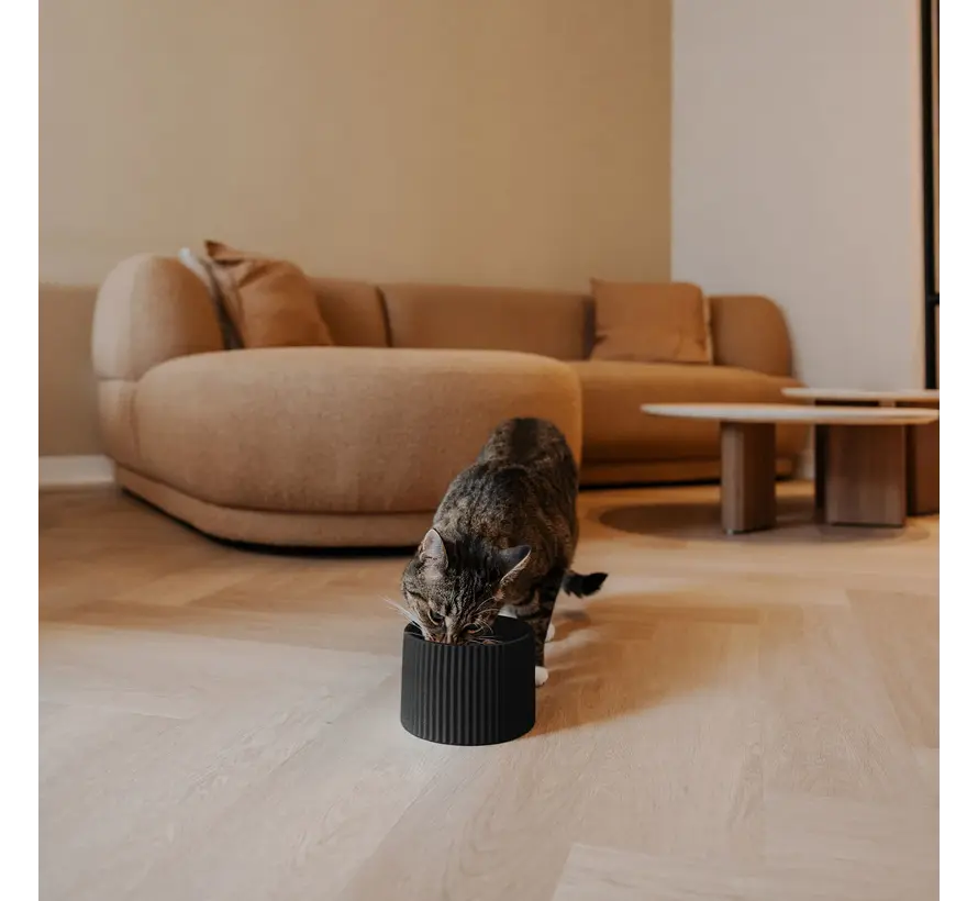 Ceramic Raised Cat Food Bowl Sense Black