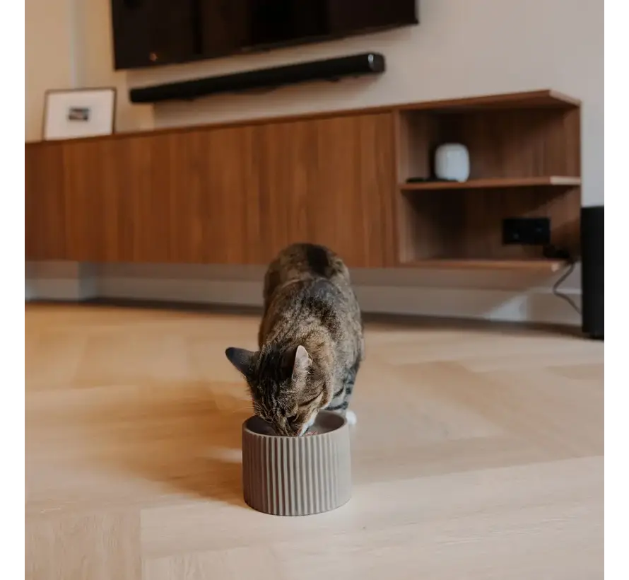 Keramische Verhoogde Kattenvoerbak Sense Beige