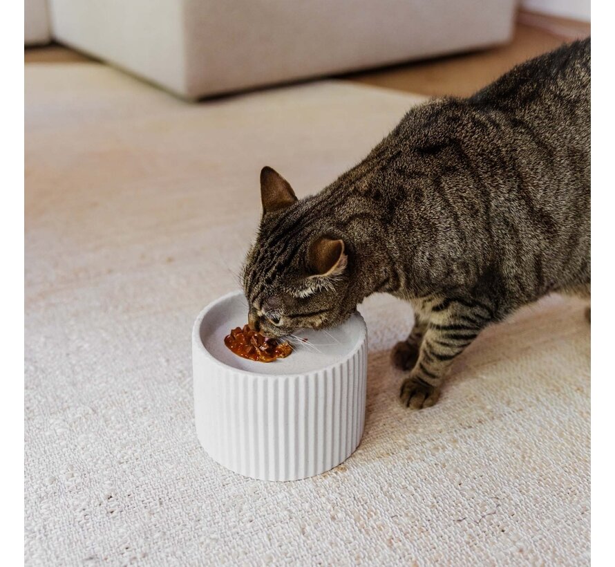 Keramische Verhoogde Kattenvoerbak Sense Merengue