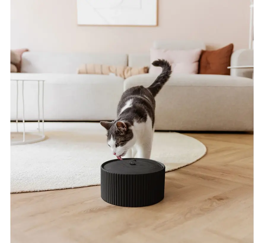 SENSE Black Ceramic Drinking Fountain