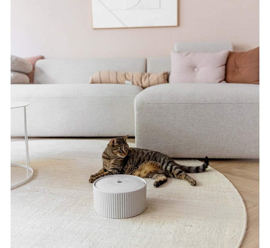 SENSE Merengue Ceramic Drinking Fountain