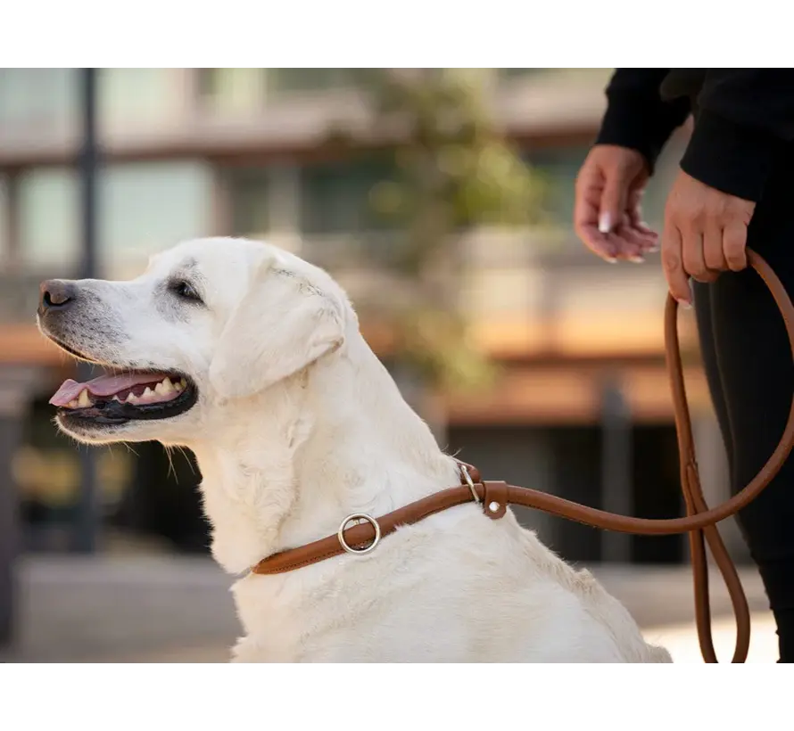 Retriever leash Cognac
