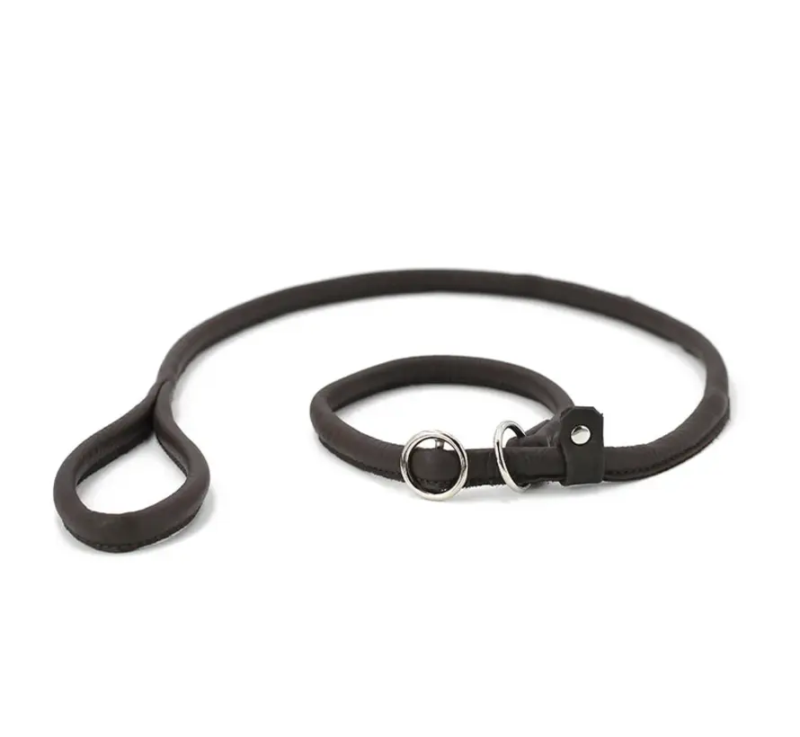 Retriever Leash Black
