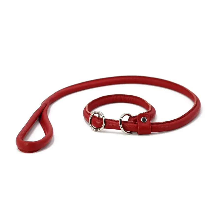 Retrieverriem Rood
