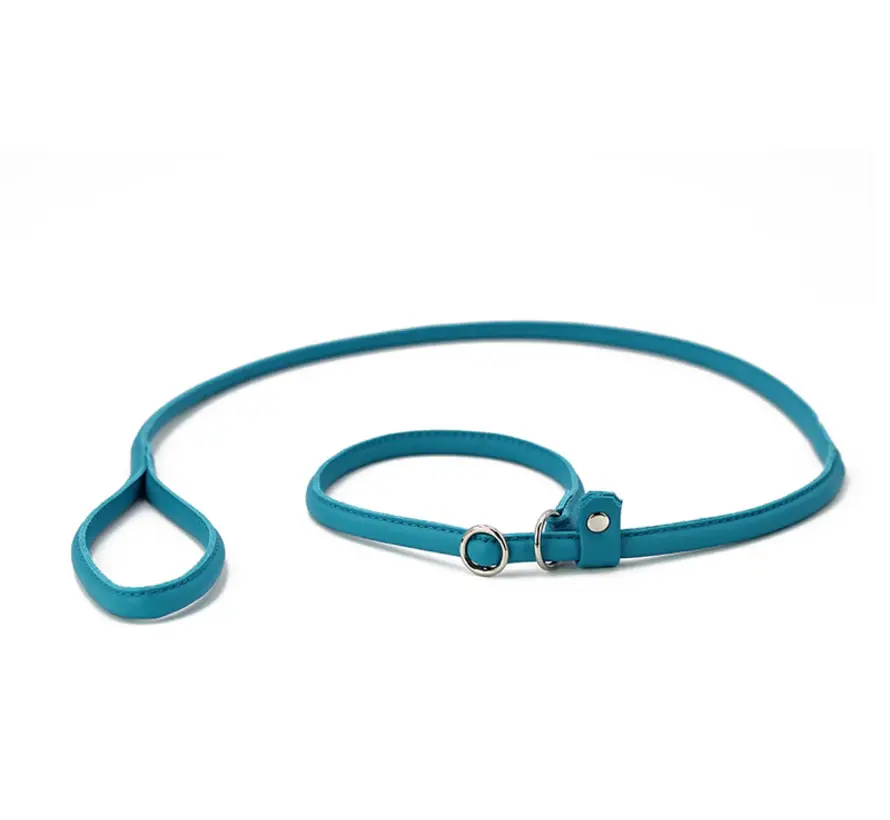 Retriever Leash Petrol