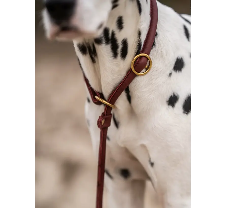 Retrieverriem Bordeaux