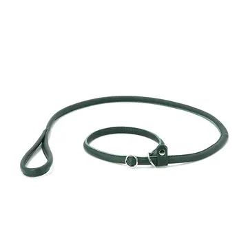Maul Retriever Leash Green