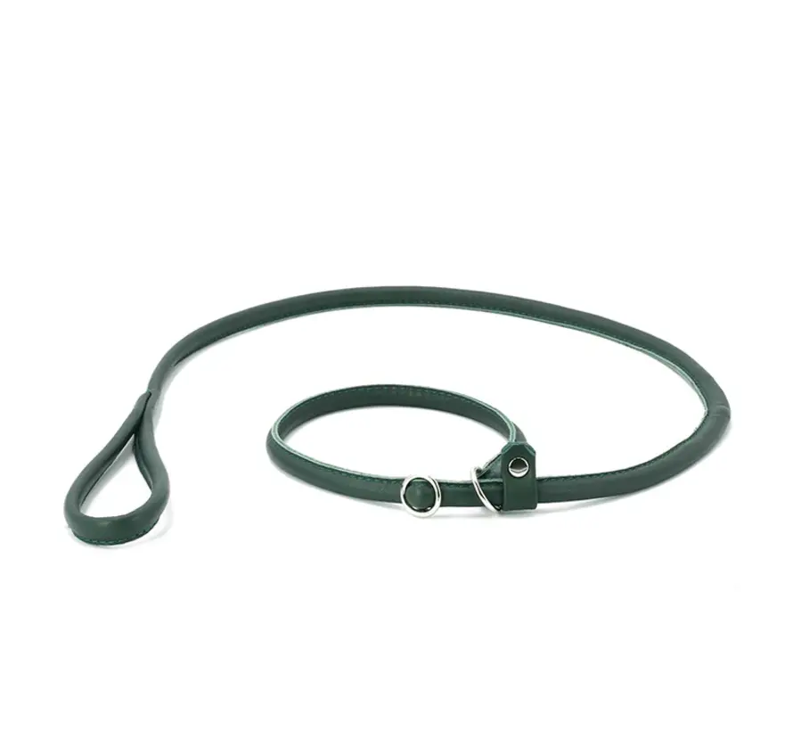 Retriever Leash Green