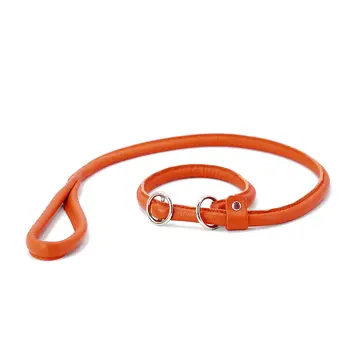 Maul Retrieverriem Oranje