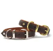 Maul Hondenhalsband Klassiek Premium Cognac \ Zilver