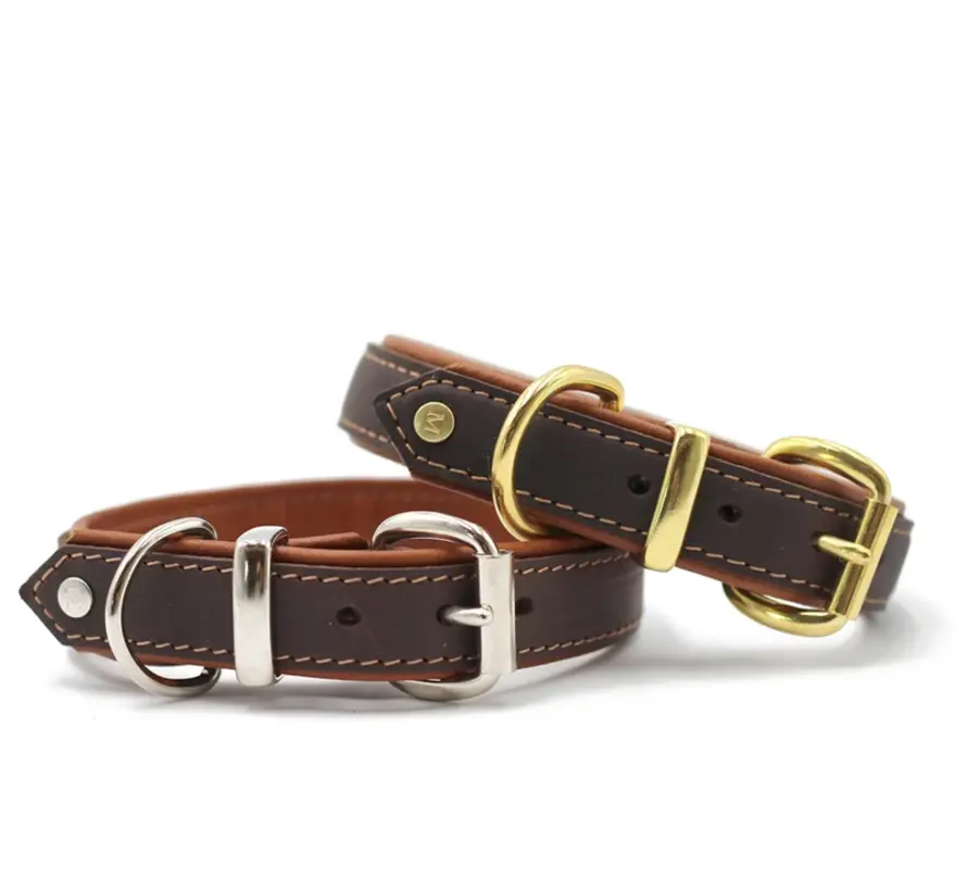 Dog Collar Classic Premium Cognac \ Gold