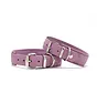 Dog Collar Classic Soft Lavender