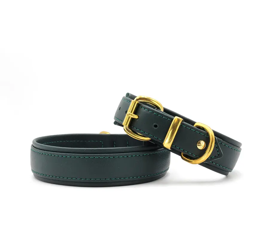 Hondenhalsband Klassiek Soft Groen