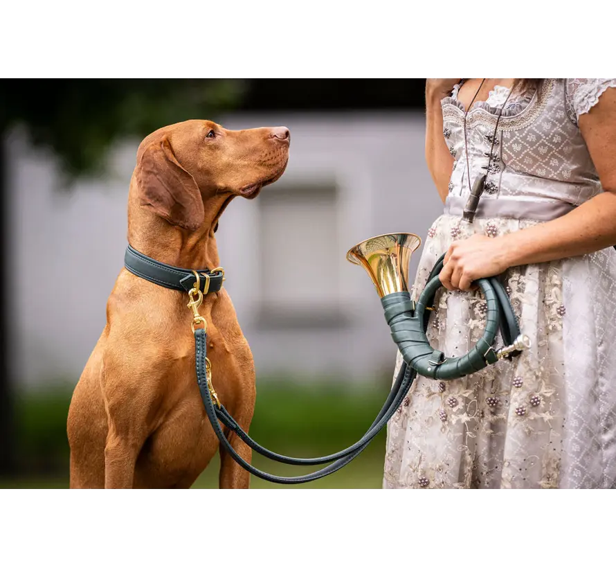 Hondenhalsband Klassiek Soft Groen