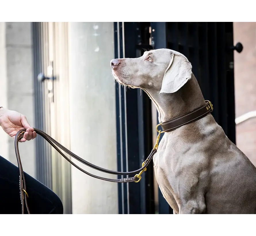 Dog Collar Old English Dark Brown