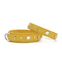 Dog Collar Diamond Yellow