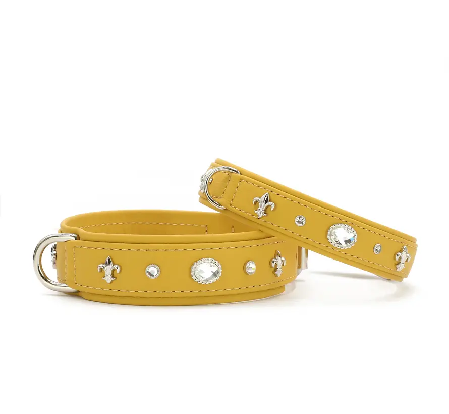 Dog Collar Diamond Yellow