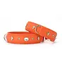 Hondenhalsband Diamond Oranje
