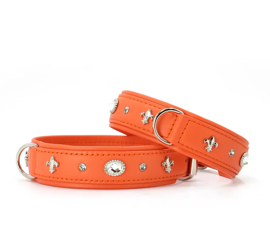 Dog Collar Diamond Orange