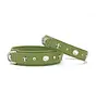 Dog Collar Diamond Lime