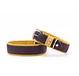 Dog Collar Spring Break Aubergine
