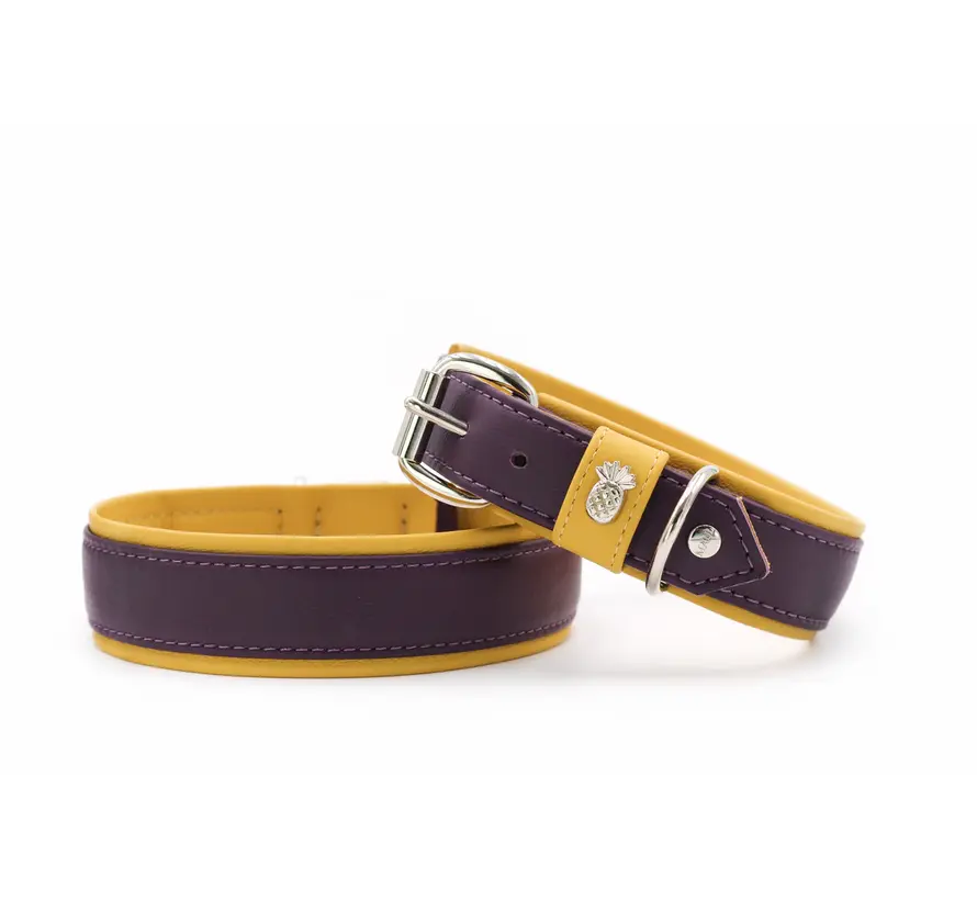 Dog Collar Spring Break Aubergine