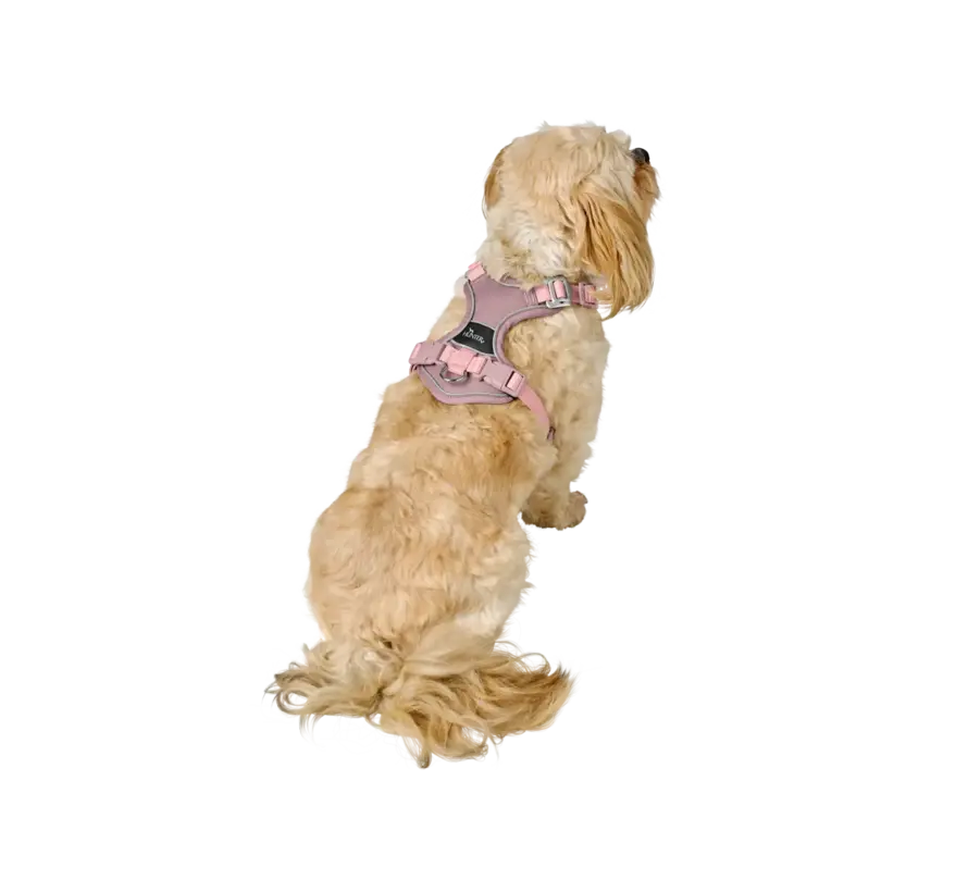 Divo Up Old Pink Dog Harness