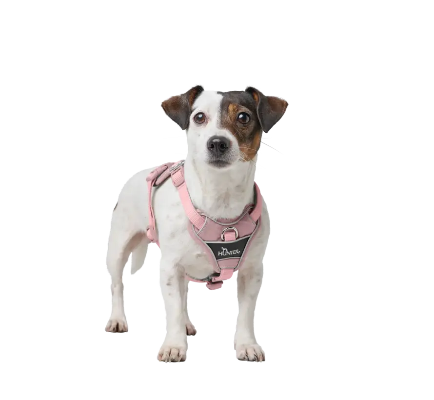 Divo Up Old Pink Dog Harness