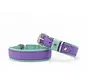 Hondenhalsband Spring Break Lila
