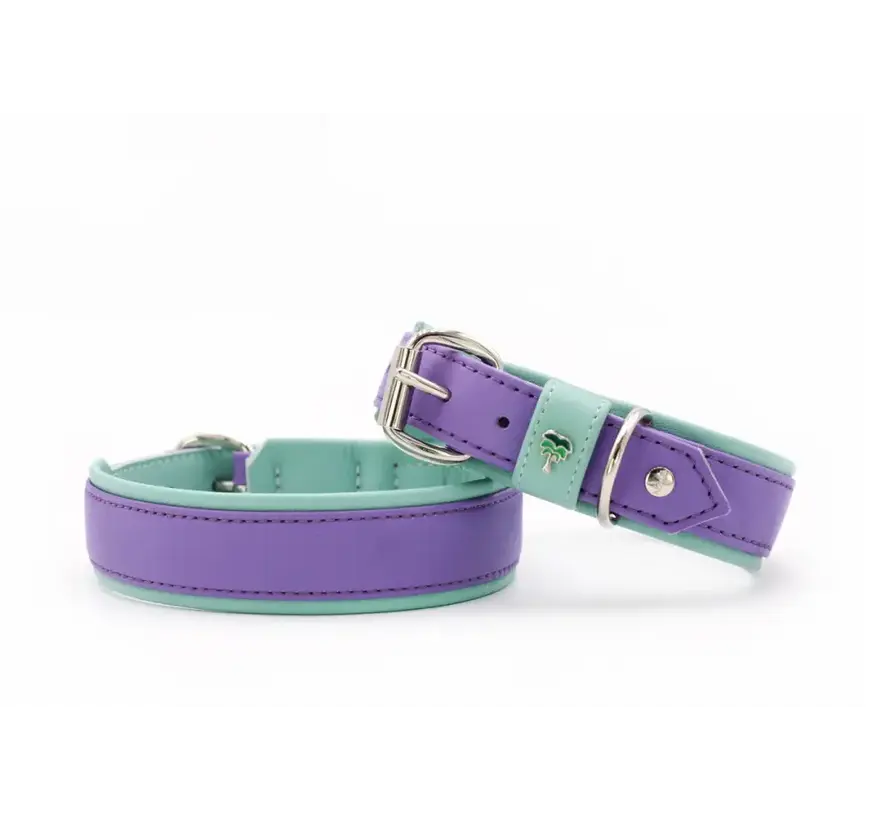 Hondenhalsband Spring Break Lila
