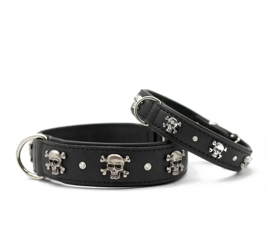 Dog Collar Skull and Bone
