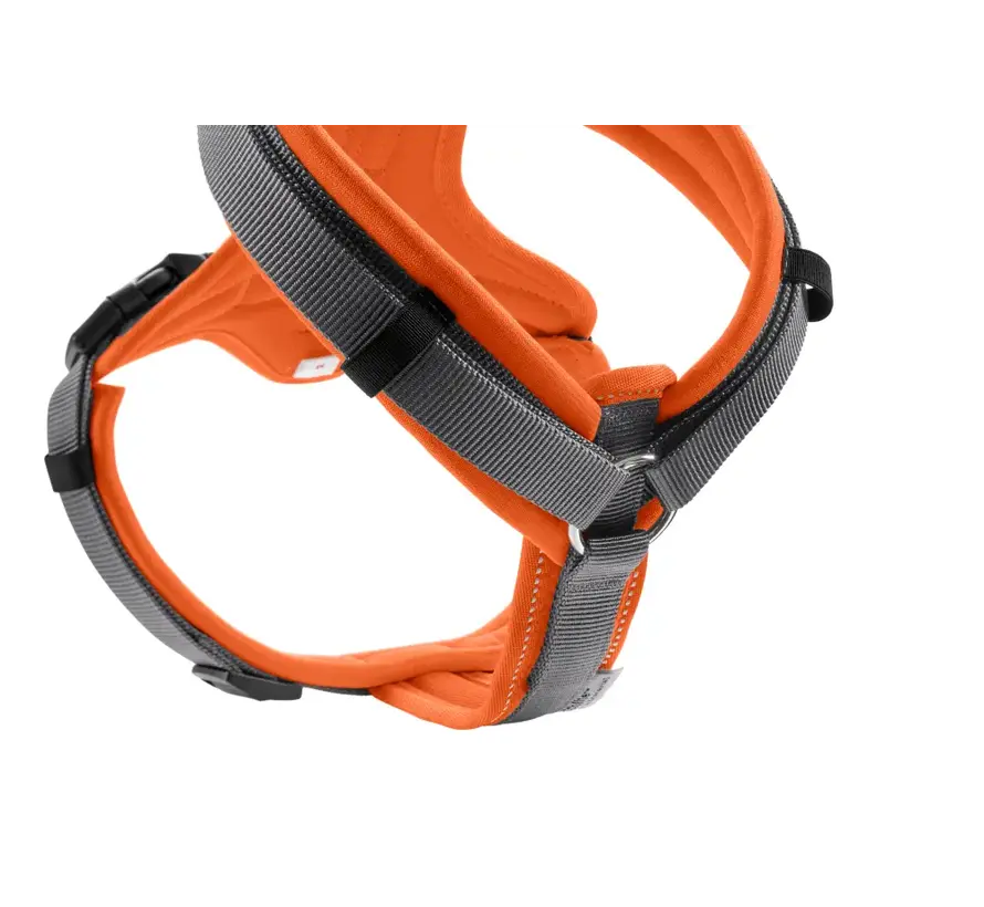 Dog Harness Maldon Up Orange