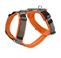 Dog Harness Maldon Up Orange